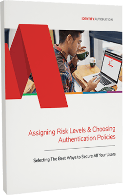 Assigning Risk Levels ebook