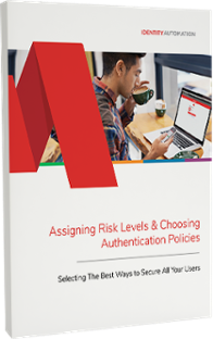 Assigning Risk Levels Guidebook